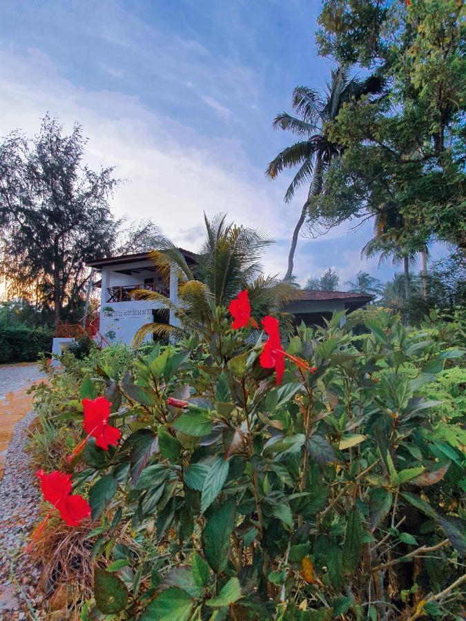 Flame Tree Cottages Nungwi Zewnętrze zdjęcie