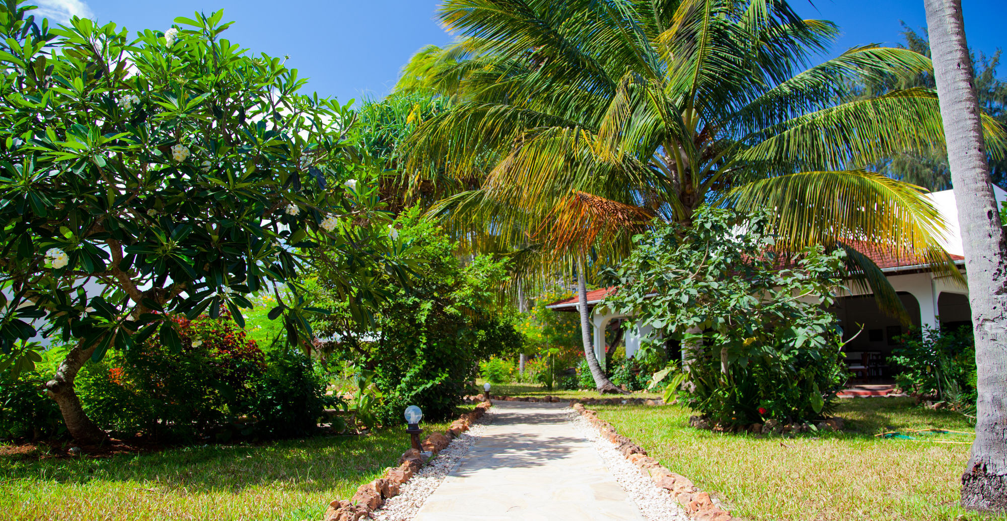 Flame Tree Cottages Nungwi Zewnętrze zdjęcie